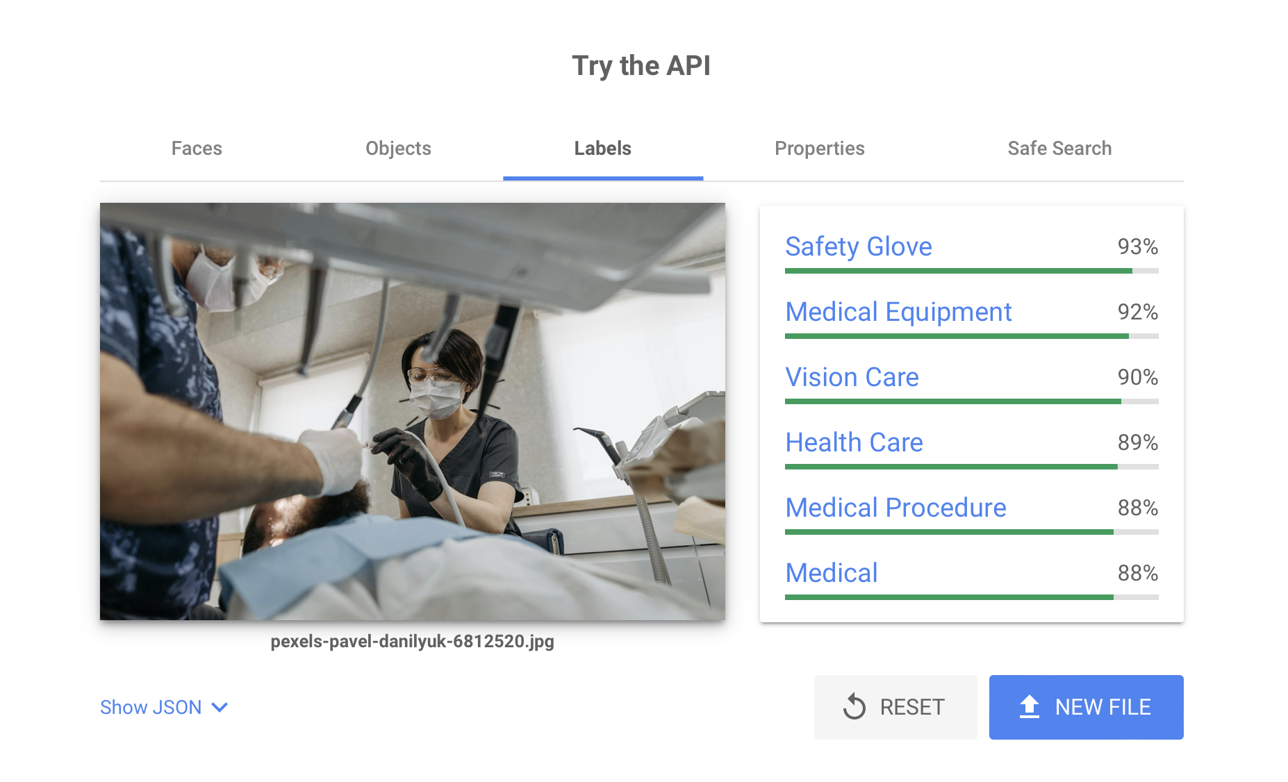 Google Vision AI example of image being classified with relevant labels